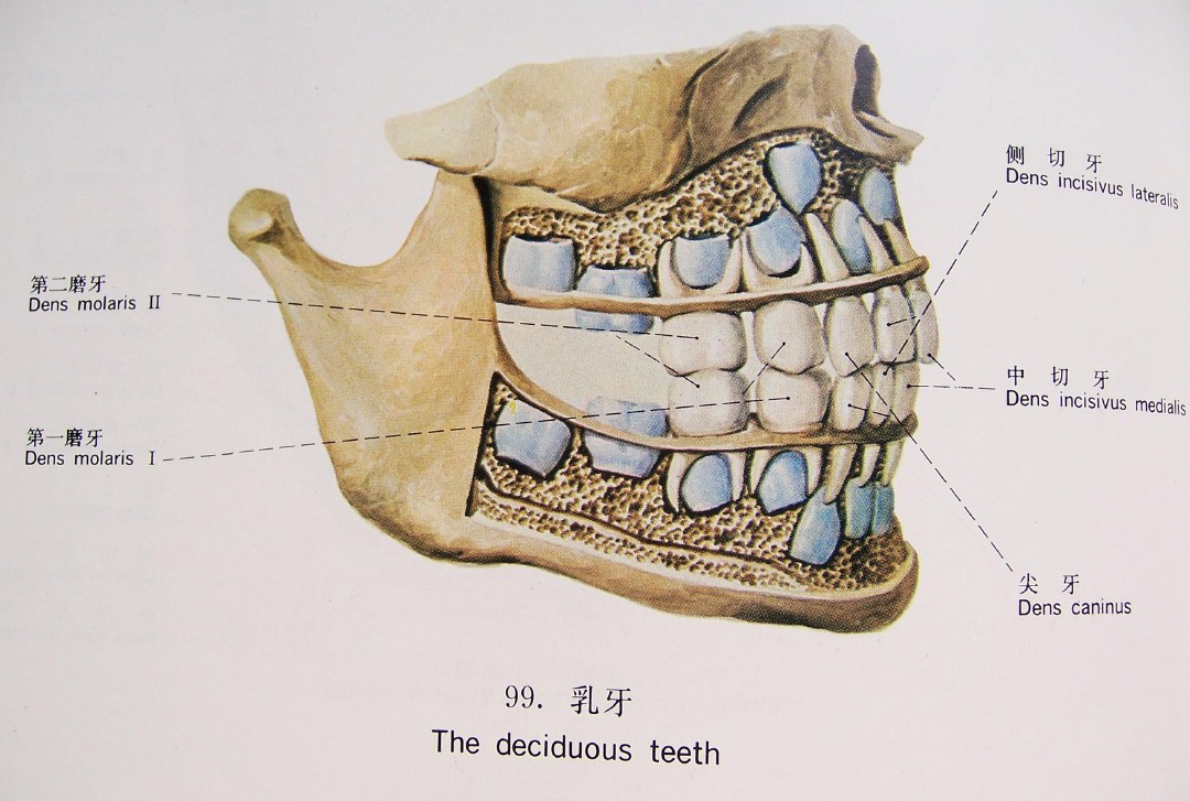 1538192391305008.jpg 1.jpg