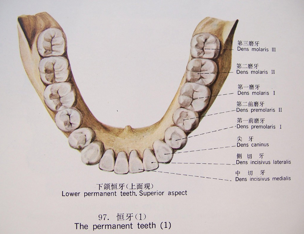 1538192989374578.jpg 4.jpg