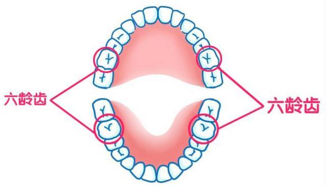 1538193603507209.jpg 6.jpg