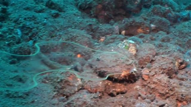 1576739761557718.jpg 2.jpg