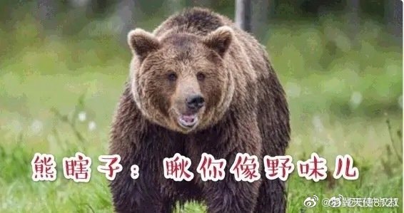 1585794176261160.jpg 配圖5.jpg