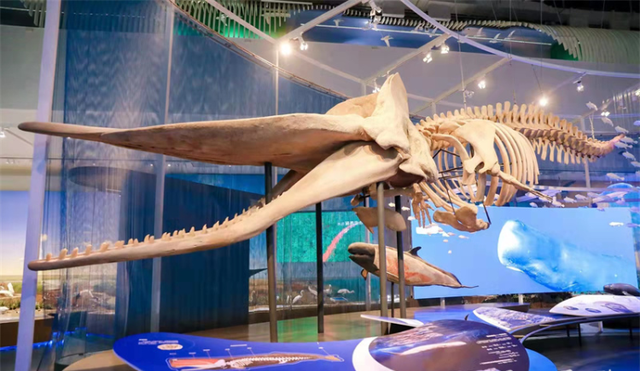 1642052240672106.png 4a36acaf2edda3cc9cc3301c24778f08213f920b.png