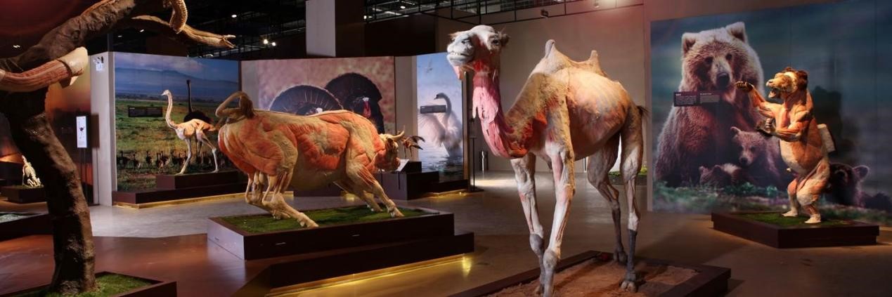 1684128275574807.jpg 4.jpg