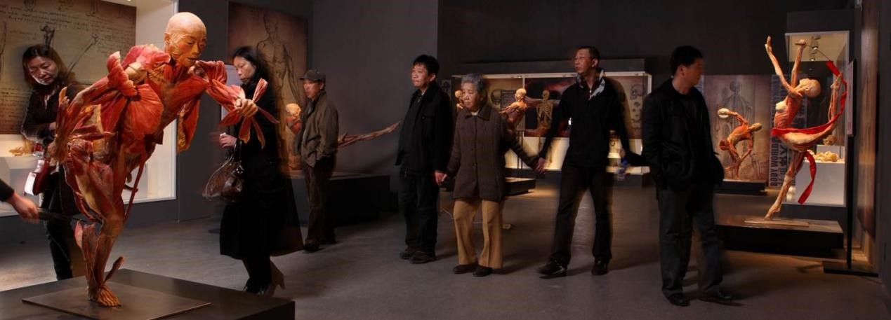 1684128300805261.jpg 5.jpg